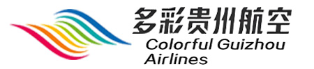 Airline